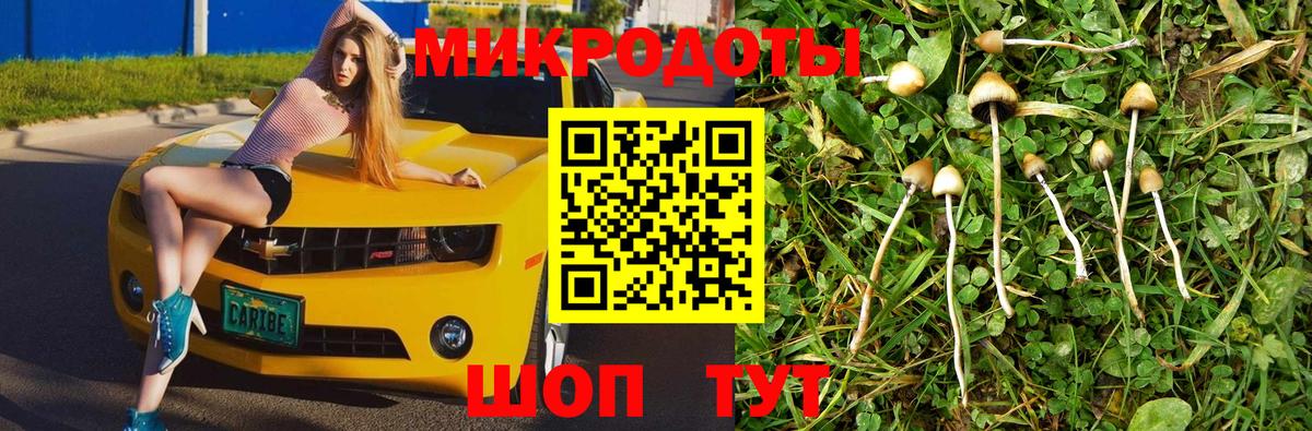 Елабуга  Галлюциногенные грибы мухоморы  Вход с VPN 